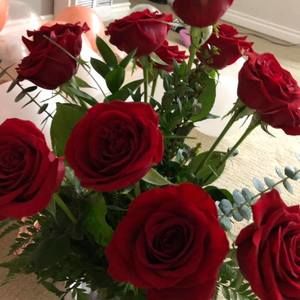 Meet your Posher, Vincent